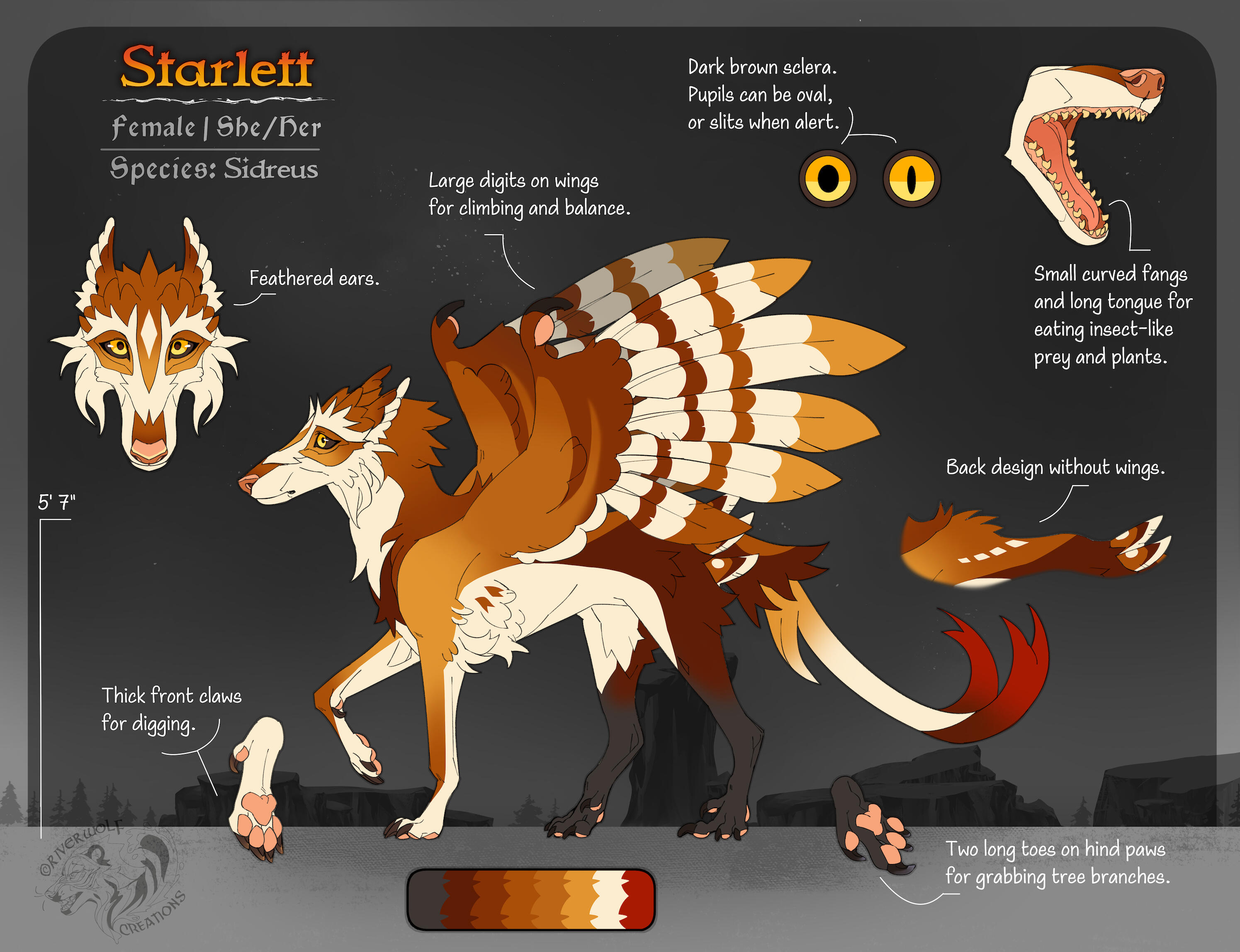 Reference Sheet Reference Sheet