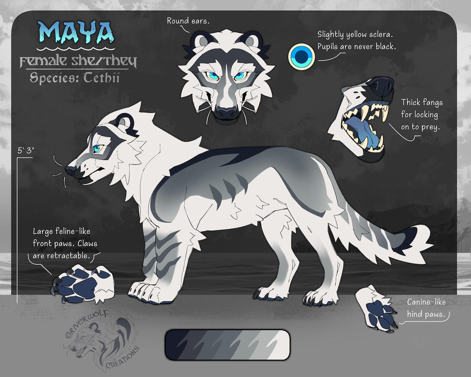 Reference Sheet
